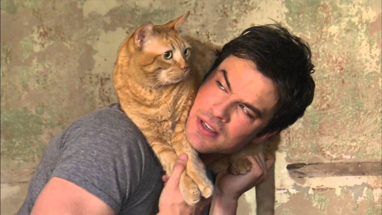 Ian Somerhalder and his cat Moke for People Magazine (2013) HD