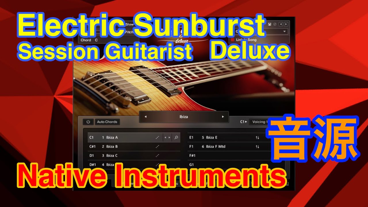 【Preset】Electric Sunburst Deluxe ギター音源 Native Instruments