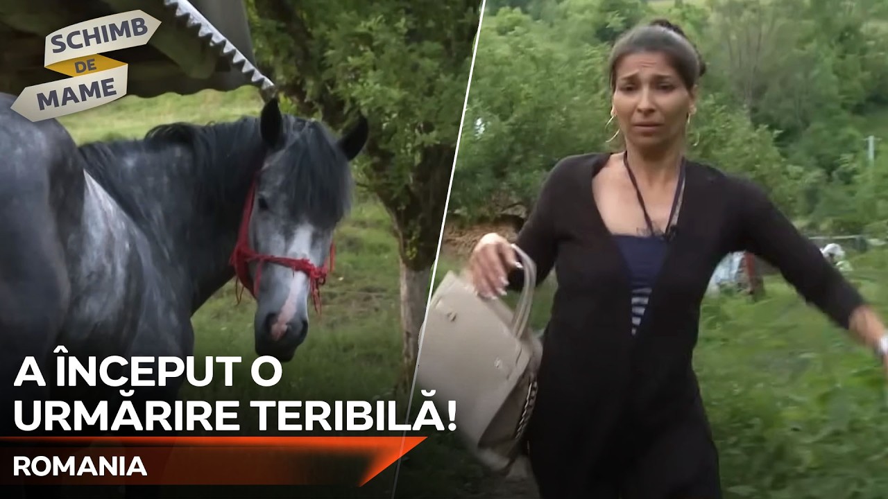 Calul A Urmărit Femeia! - Vieți diferite | Schimb de Mame