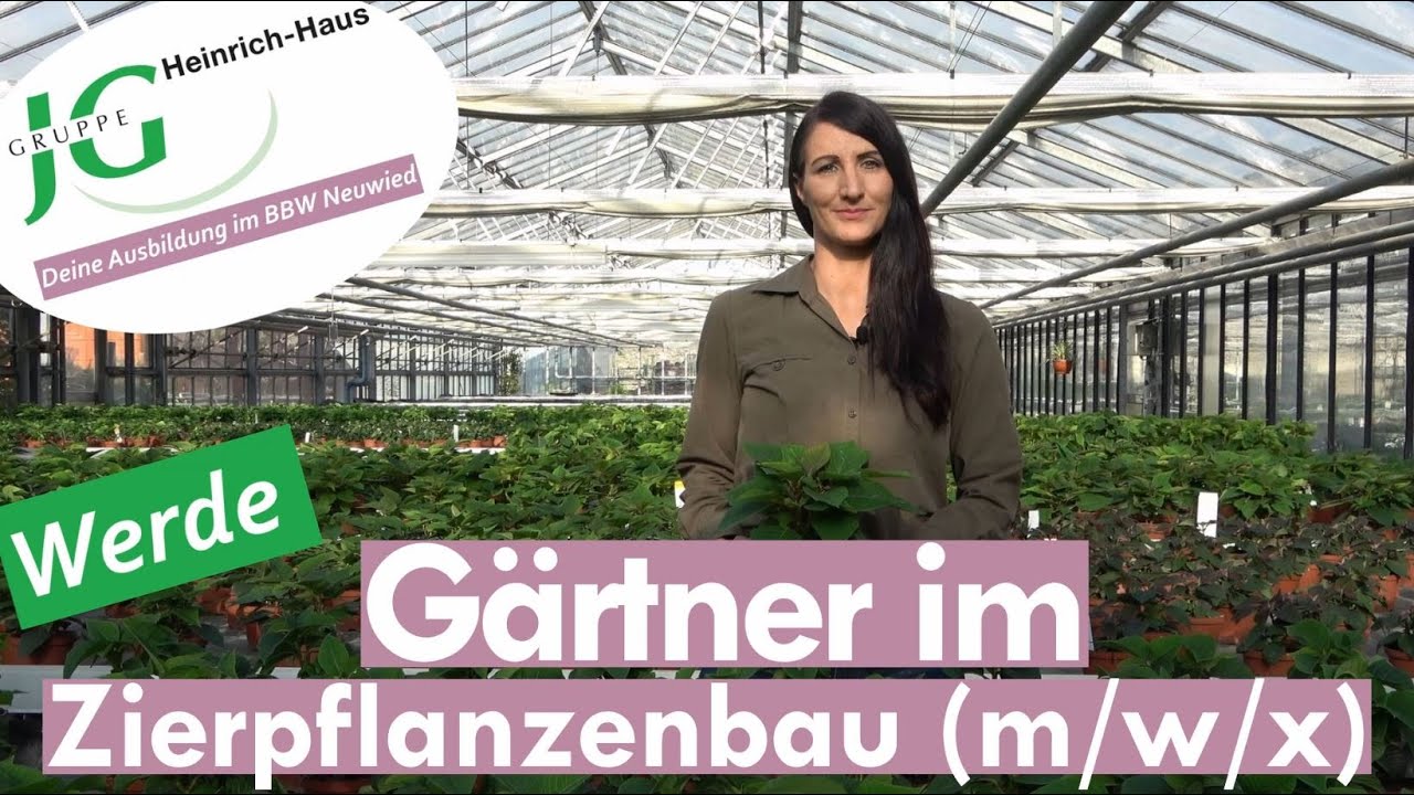 Ausbildung zum Gärtner im Zierpflanzenbau (m/w/x) im BBW Neuwied