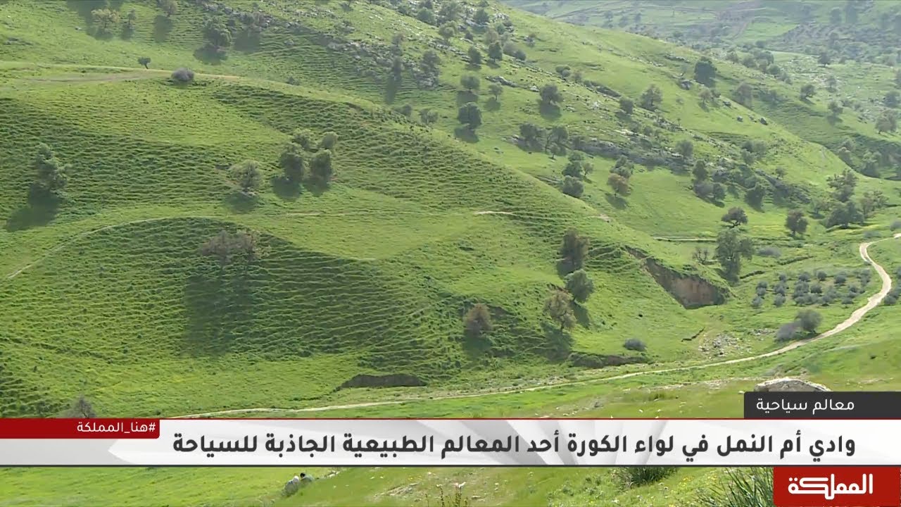 الطبيعة الخلابة في وادي ام النمل بمنطقة الكورة جعلت منه معلما طبيعيا جاذبا للسياحة