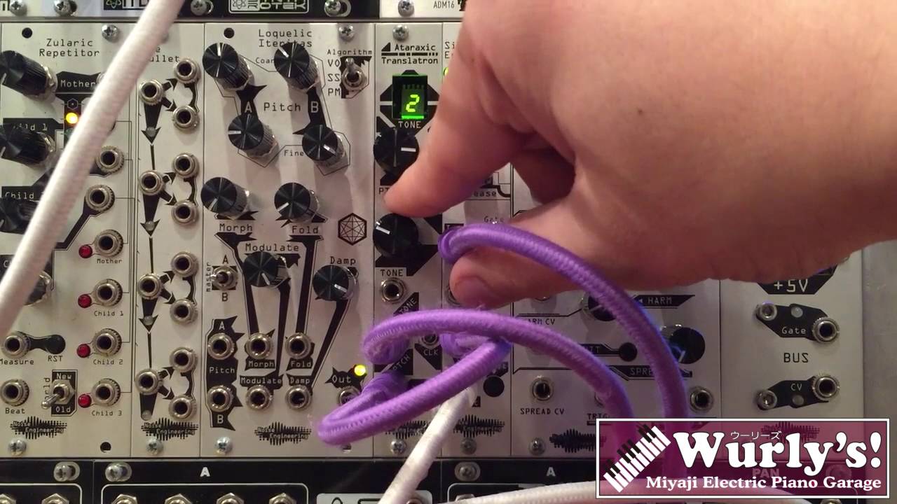Noise Engineering Ataraxic Translatron & Sinclastic Empulatrix【Wurly's!モジュラーシンセ動画】