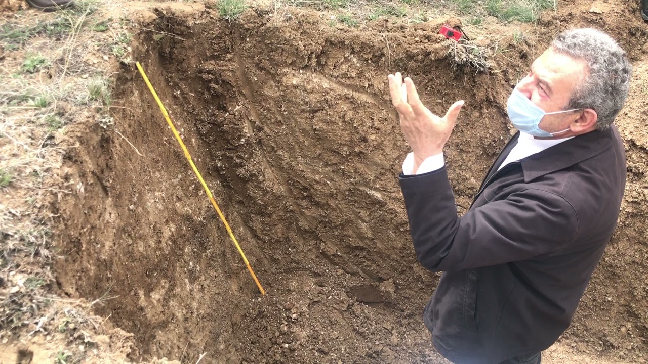 Toprak Profili Belirleme ve Numune Alma