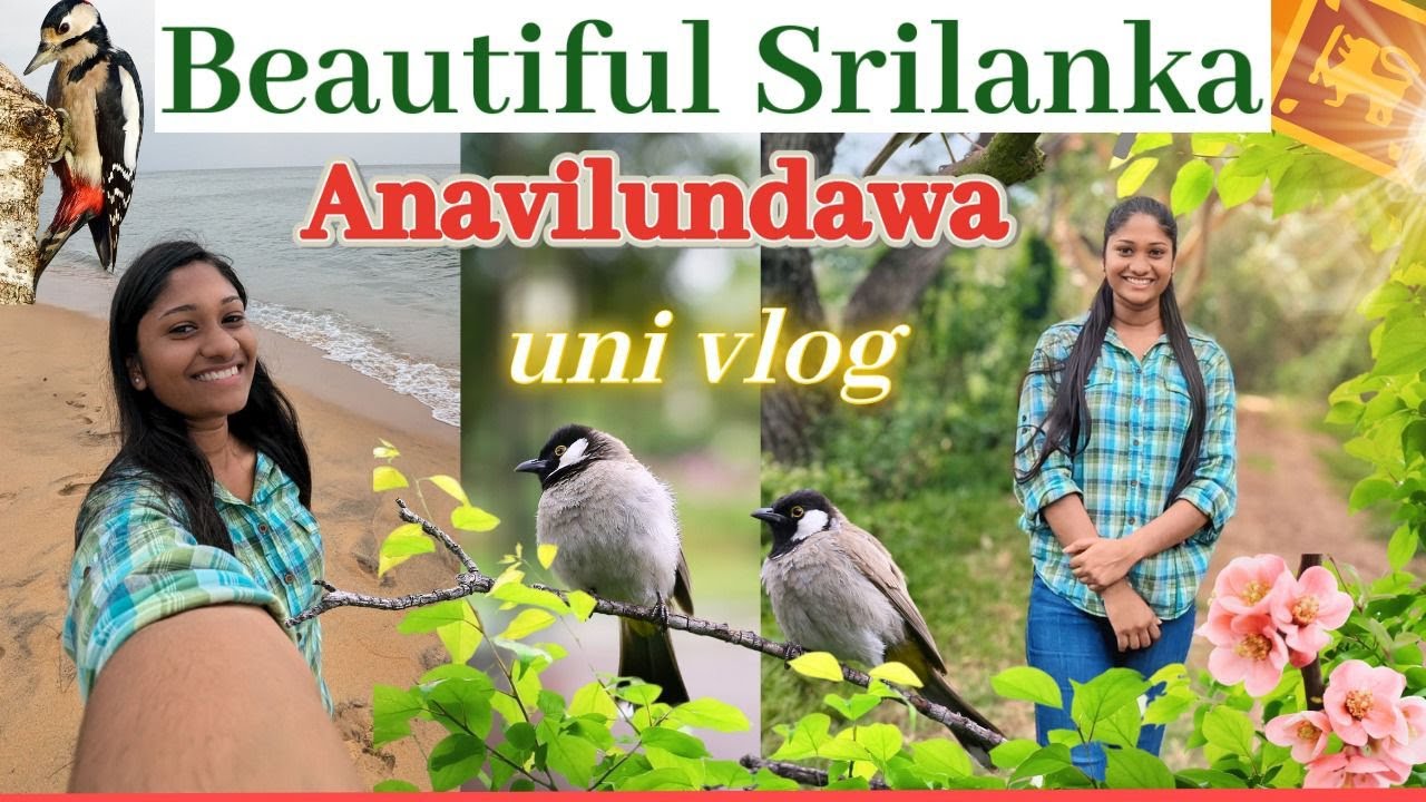 Uni Vlog By Thanulii 🌿✨ #dayvlog  #naturelovers #srilanka