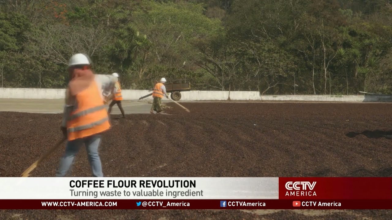 Coffee Flour: Turning Waste Into a Valuable Ingredient