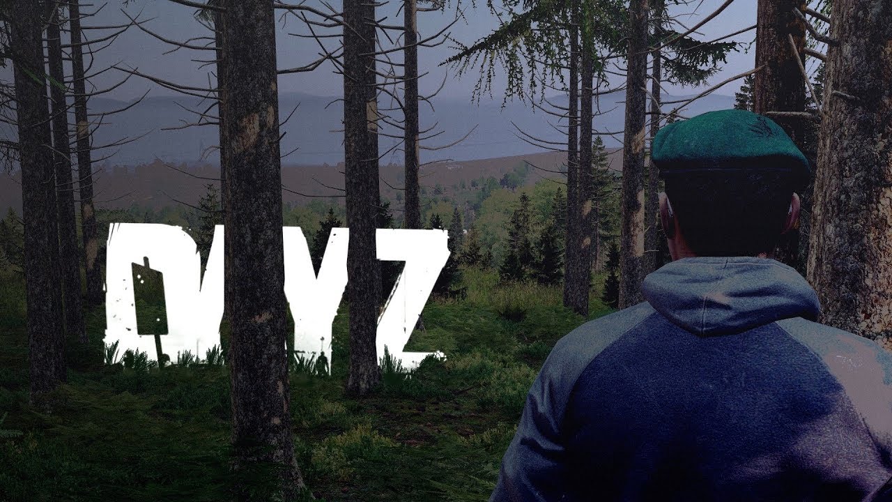Revenge gone out of control - DayZ Livonia