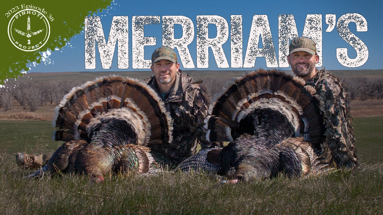 the MOST INSANE MERRIAM'S TURKEY HUNT | the MOST GOBBLING EVER | LONGBEARD at 5 FEET! - Pinhoti 2023