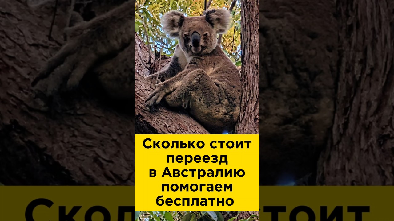 Сколько стоит переезд в Австралию 