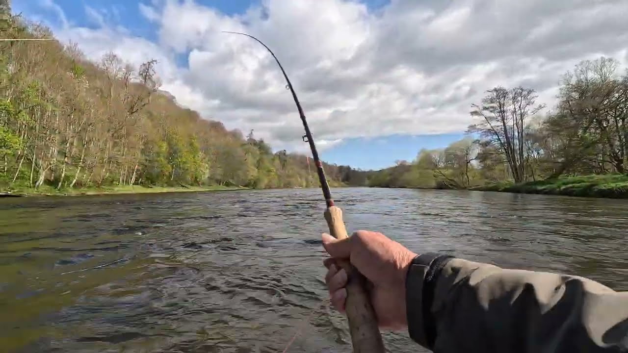 Salmon fishing at Upper Floors on the river Tweed 18th and 19th April