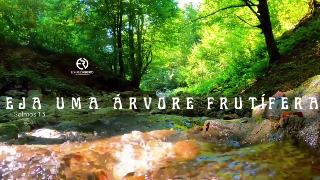 Seja uma árvore frutífera!