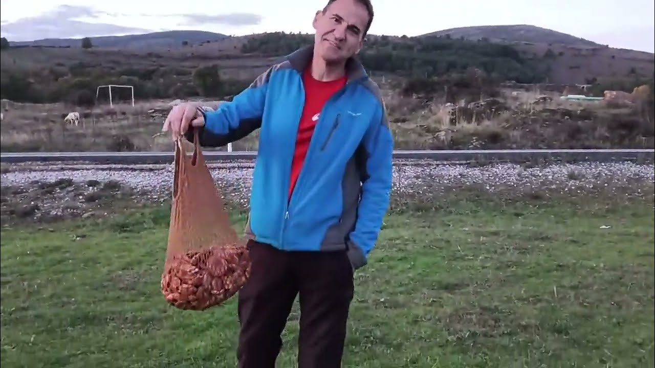 Recogiendo setas I (N&iacute;scalos)