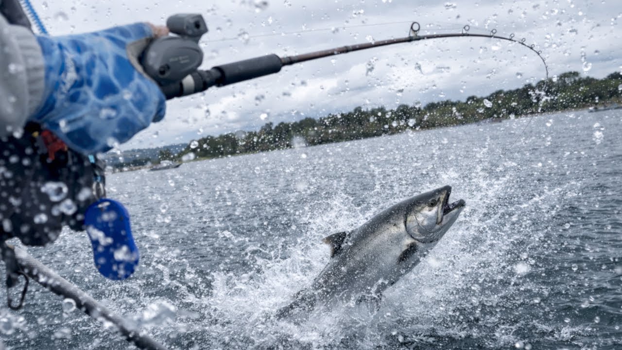 King Salmon Catch Compilation — 8 Hookups! (Raft Fishing PNW) 🎣💦