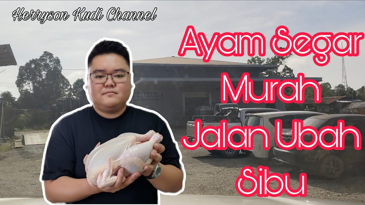 Borong Ayam Segar Murah di Jalan Ubah, Sibu | Worth It Ke?