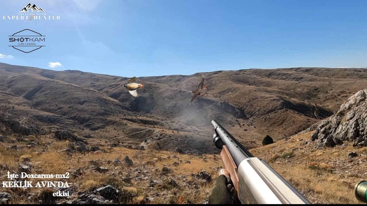 KEKLİK AVI(UZAK ATIŞ MUHTEŞEM DUBLE) HUNTING PARTRIDGES صيد طائر الحجل #hunter #hunting 