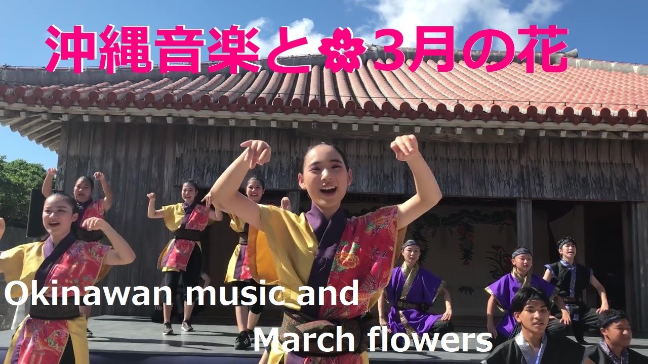 🎶沖縄音楽＆🌸3月の花【字幕 】🎶Okinawa Song & 🌸March Flowers [Subtitles]