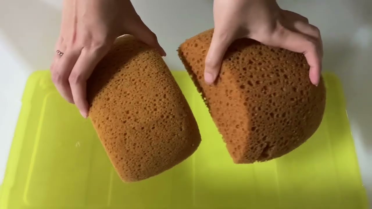 【ASMR】Lemon bucket × Proplus Clam shell sponges🍋🤎🤎マジックリン4.5リットルとプロプラスの半円スポンジでもこもこしてみた🍋🤎🤎