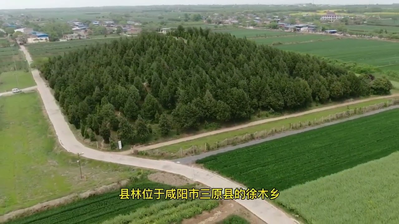 探访唐高祖李渊的葬地 &mdash;&mdash;&ldquo;献陵&rdquo;#history #文化