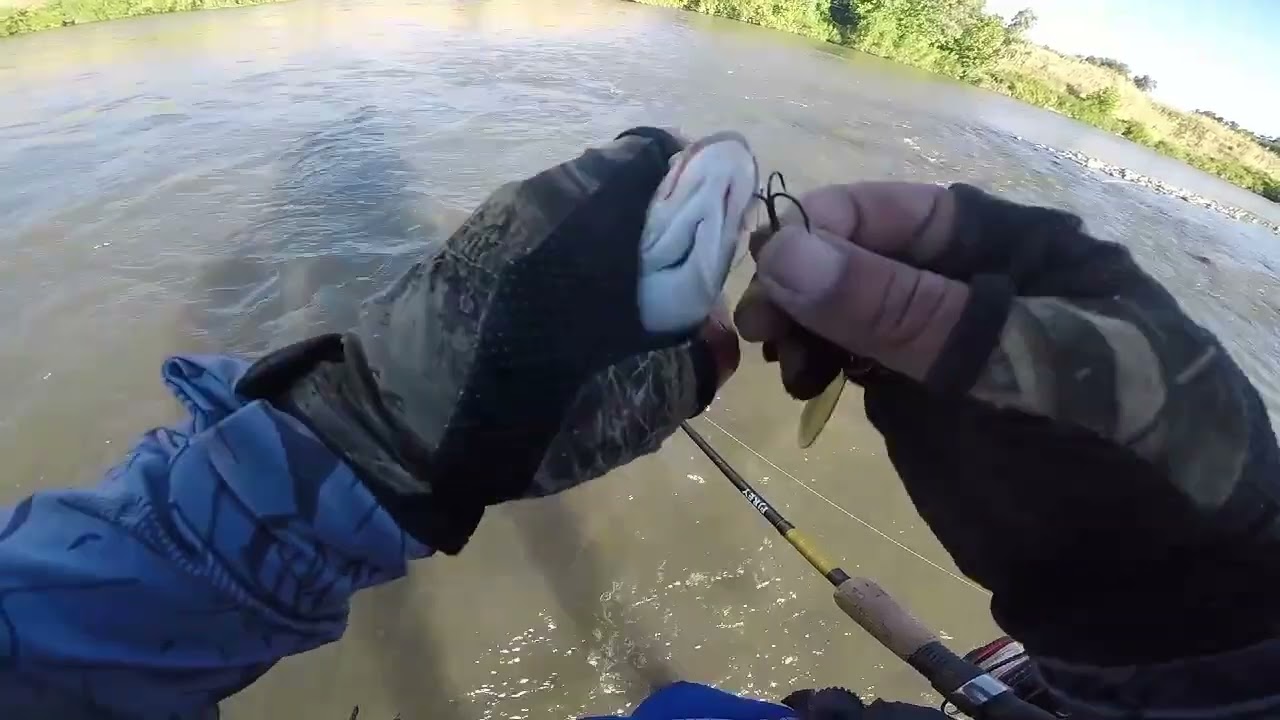 Pesca trucha
