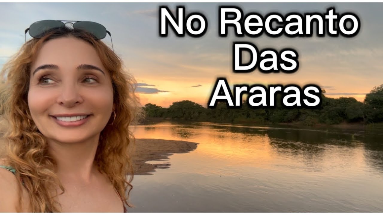 Tocantins: berçário natural da natureza selvagem 🦜🦆🦩🦅 🐆🐦‍⬛