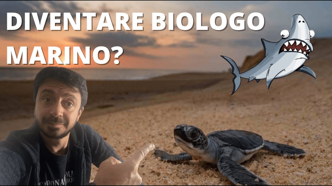 Cambio vita e DIVENTO BIOLOGO MARINO 🐳 🐡 🦑🦈