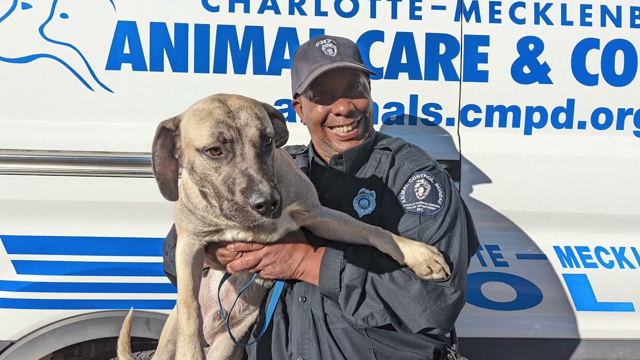80 Years of Animal Care & Control in Charlotte