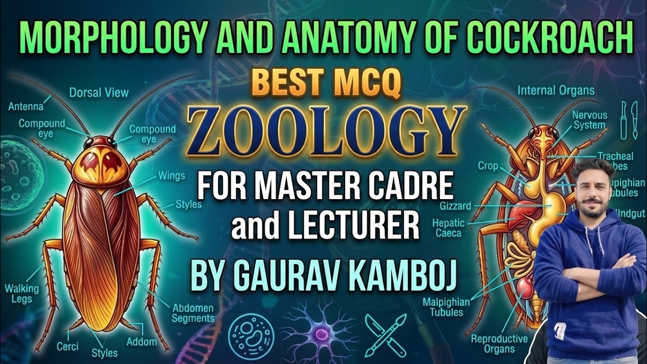 BEST MCQ ON MORPHOLOGY OF COCKROACH I ZOOLOGY  MASTER CADRE AND LECTURER CADRE  BY GOURAV KAMBOJ SIR