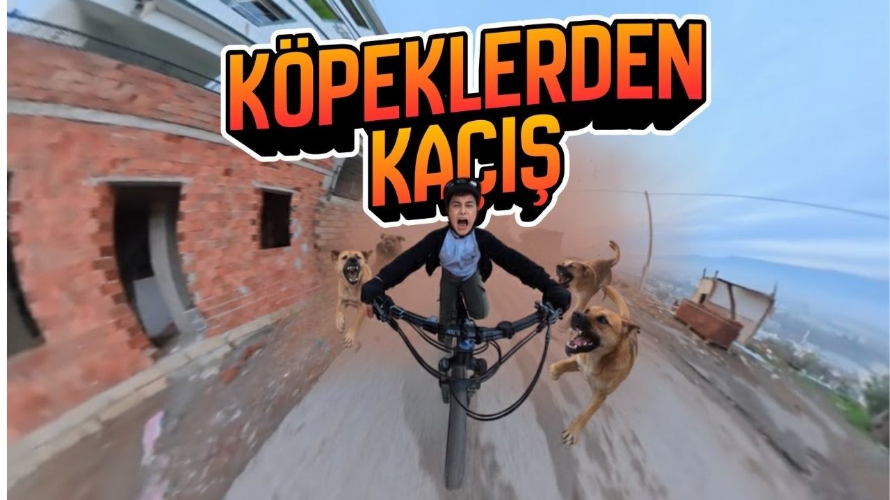 K&Ouml;PEKLER KOVALADI, FENA D&Uuml;ŞT&Uuml;K! 😱 | Dağ Bisikleti (MTB) Vlog