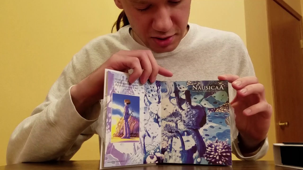 The collected works of Hayao Miyazaki. Real VS Fake