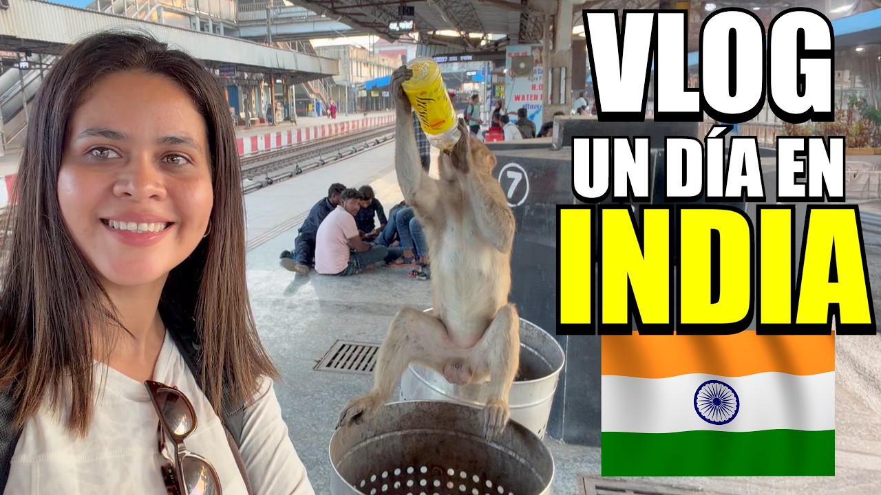 MONOS en la calle y un restaurante de lujo! Así me sorprendió la INDIA 🇮🇳