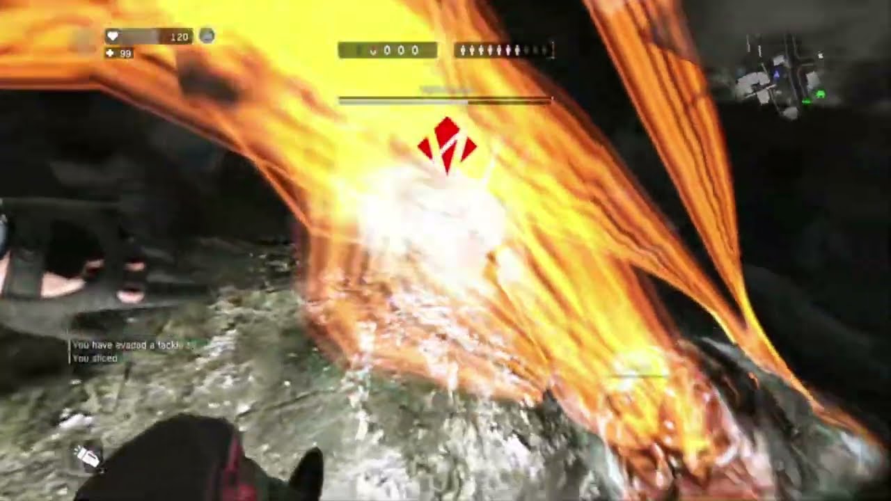 MONTAGE 24