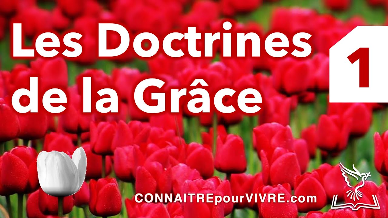 Les Doctrines de la Grâce (Partie 1): La Dépravation Totale