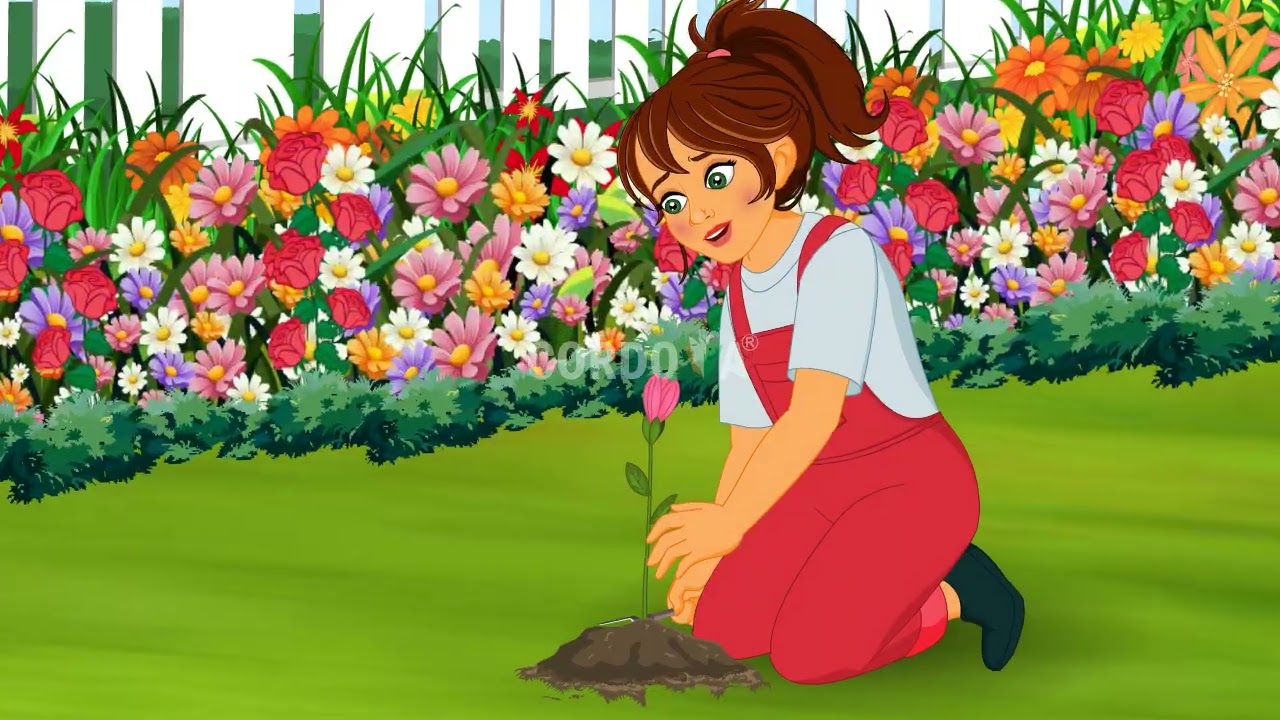 Magic In The Garden 5 th class