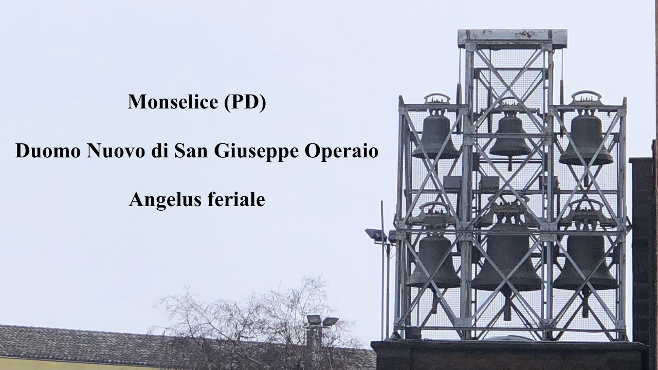 Campane del Duomo Nuovo di San Giuseppe Operaio in Monselice (PD), v.404