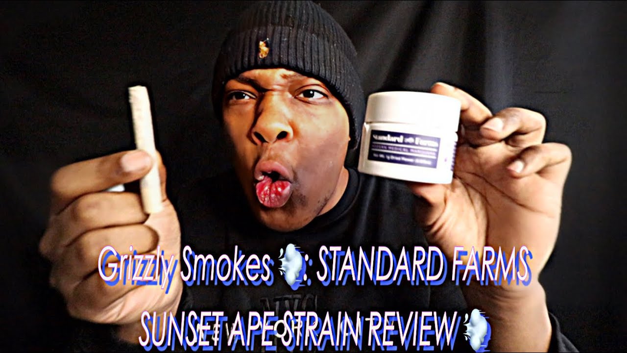 Grizzly Smokes 💨: STANDARD FARMS SUNSET APE STRAIN REVIEW 💨