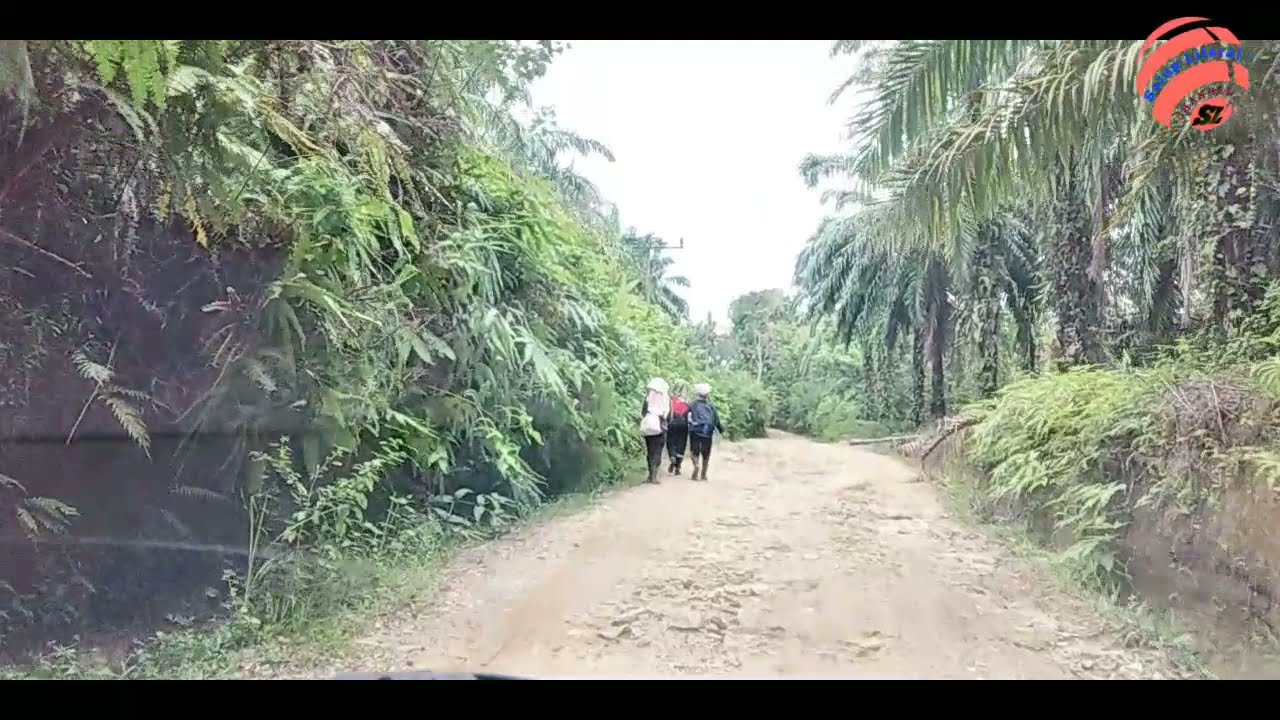 Titi Beton - Silobosar [Bosar Nauli]