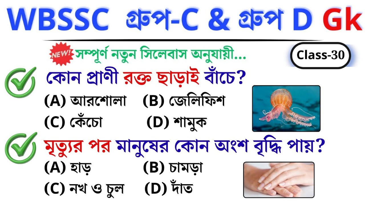 🎯 WBSSC Group C & D GK | Class–30 | নতুন সিলেবাস অনুযায়ী ক্লাস চলছে