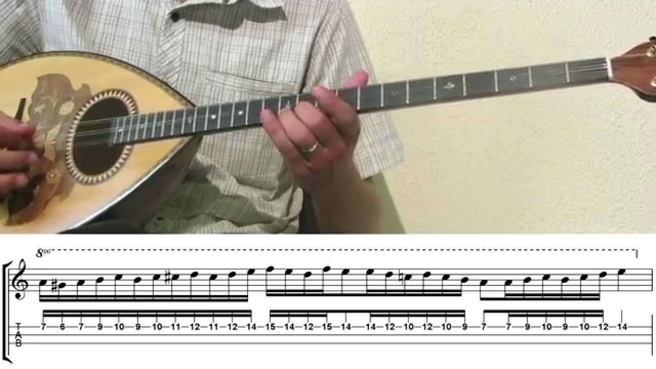 Βαδίζω Και Παραμιλώ - Βίντεο Εκμάθησης με Ταμπλατούρα