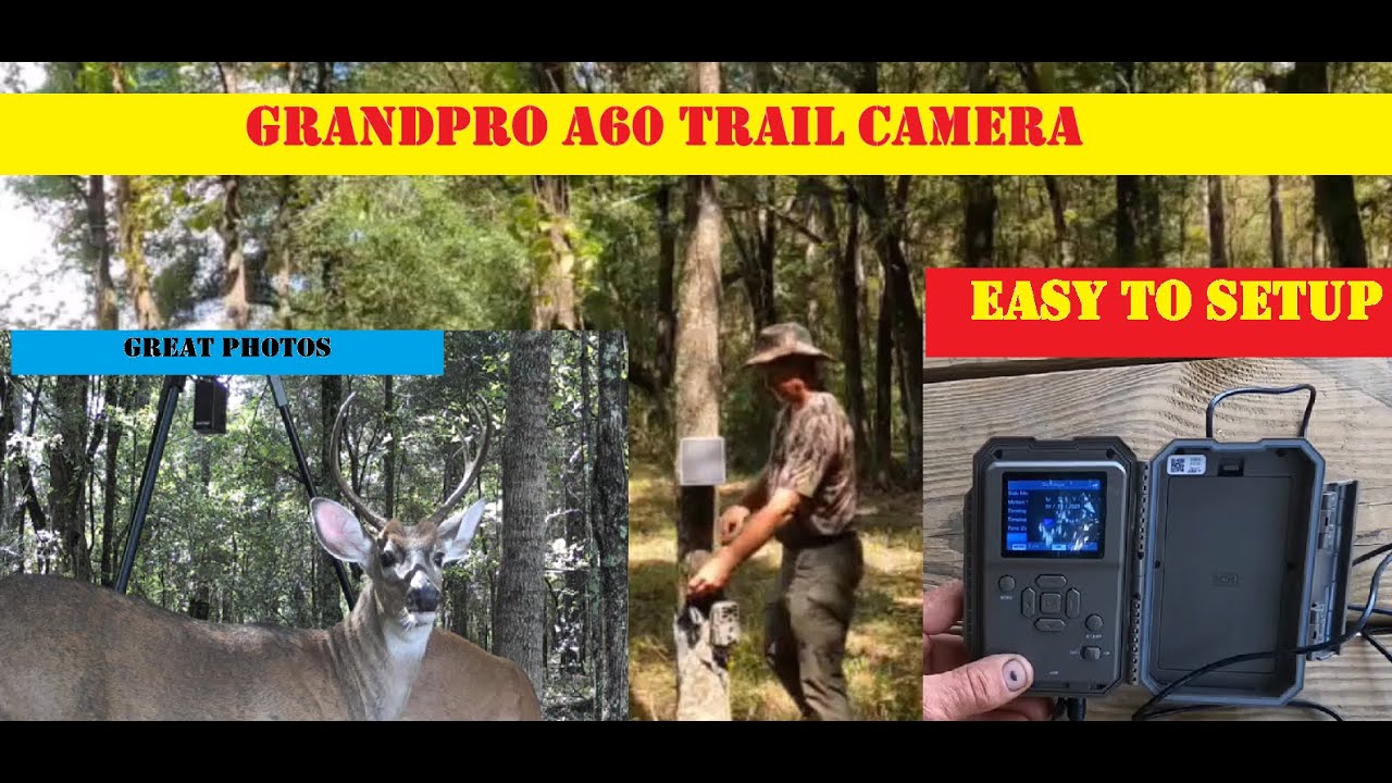Фотоловушка для чайников / Фотоловушка GardePro A60 — это действительно так просто и делает отлич...