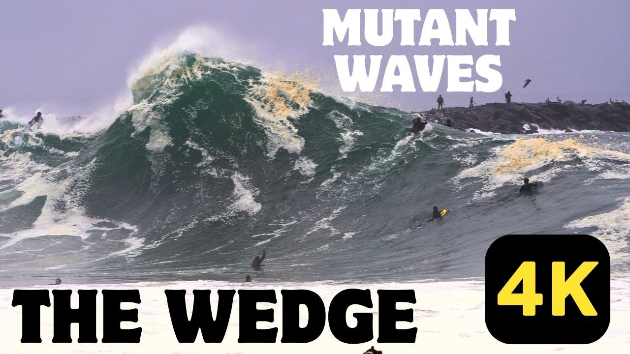 THE WEDGE - MUTANT WAVES IN 4K | NEWPORT BEACH CARNAGE!