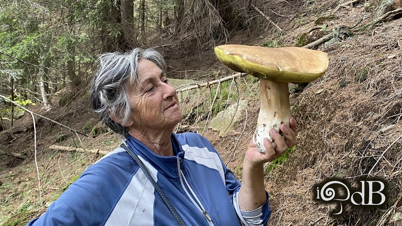 Porcini Edo 27 Agosto 2020