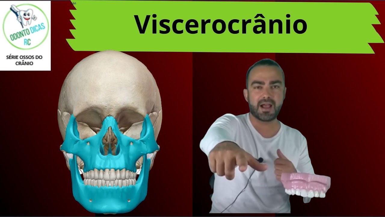Ossos do crânio: viscerocrânio 6/8