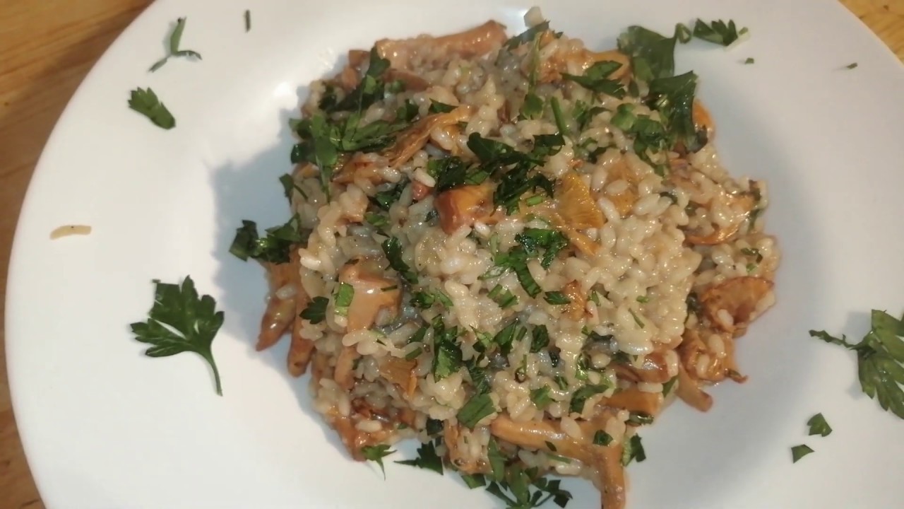 Risotto con funghi gallinacci( finferli) della Sila da MicheleExpert