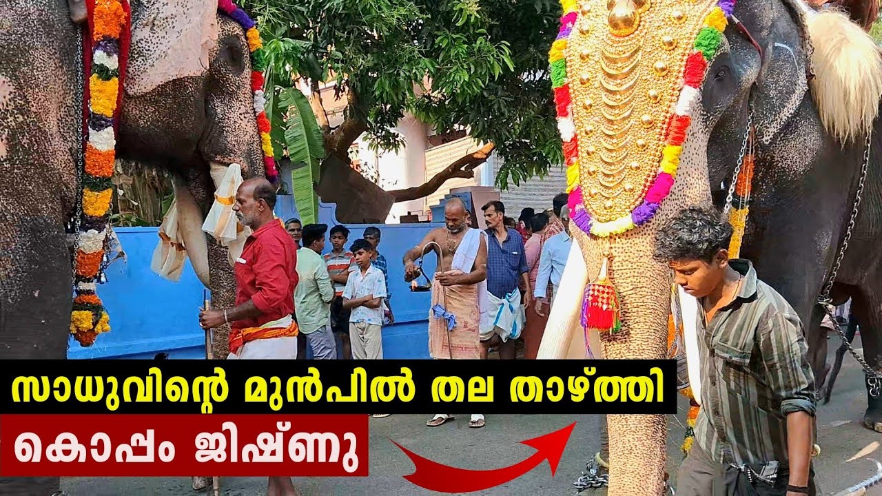 കൊപ്പം ജിഷ്ണുവിനെ കളിയാക്കി പാപ്പാന്മാർ🙄തമാശക്ക് ആണേ.. 🤣🤣| Koppam Jishnu sadhu elephant new..