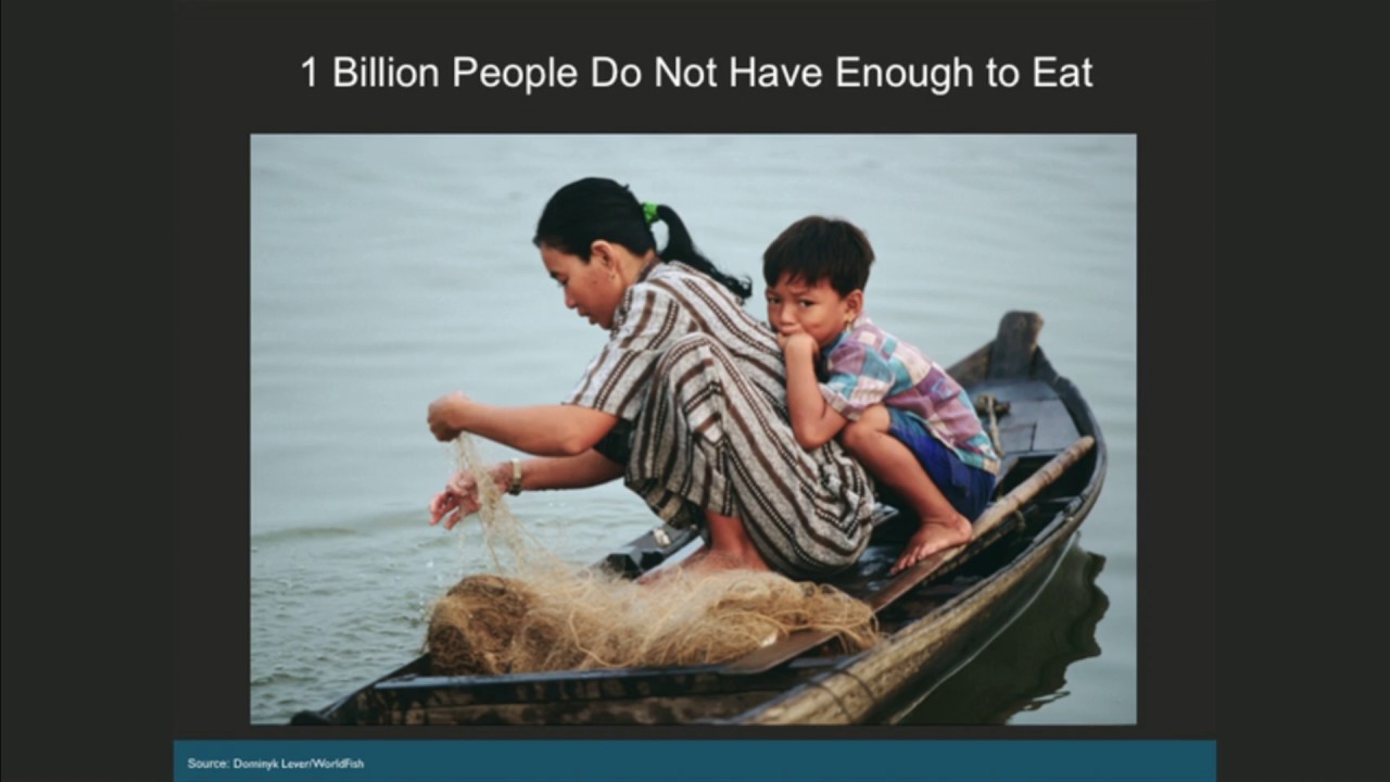 2030- SDG 14- Life Below Water- Ted talks