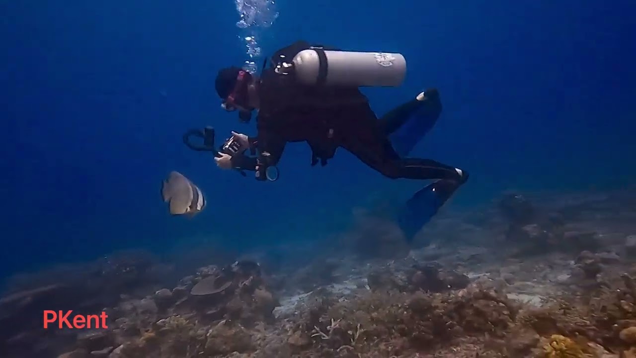 2023 10 18 Fish Factory With Dive Academy FIJI