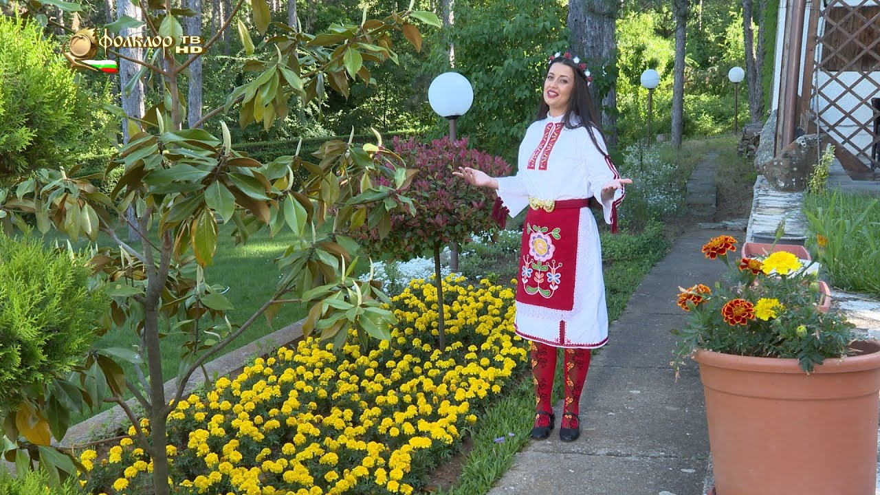 Нели Бонева - Димо край хоро седи
