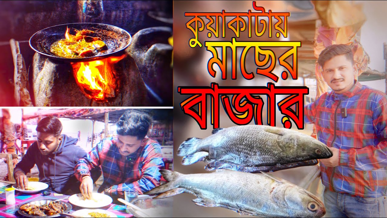 লেবুর বনে কঠিন দামাদামি করে ৫০০ টাকায় ৩ পদের মাছ দিয়ে গরম ভাত খেলাম। Kuakata Sea Food Market.