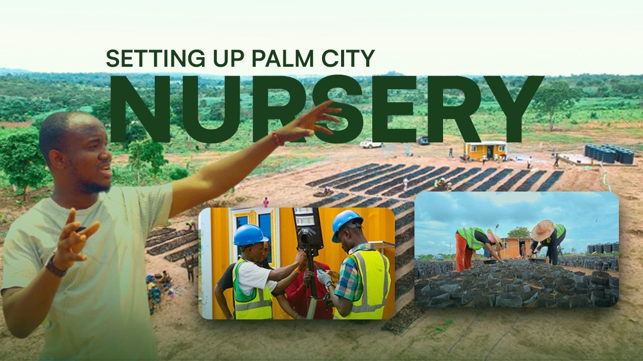 How We Started an Oil Palm Plantation From Scratch | Palm City