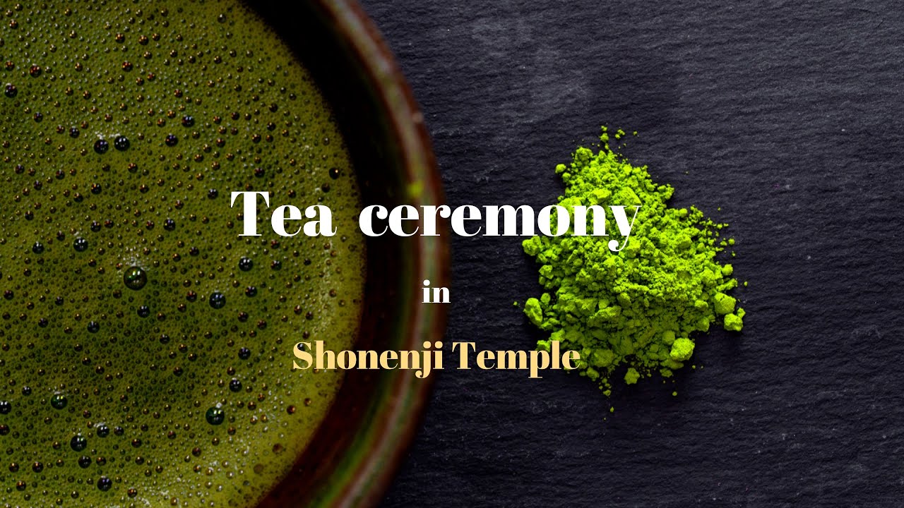 Traditional Tea Ceremony Experience In Imai-cho, Nara prefecture, Japan