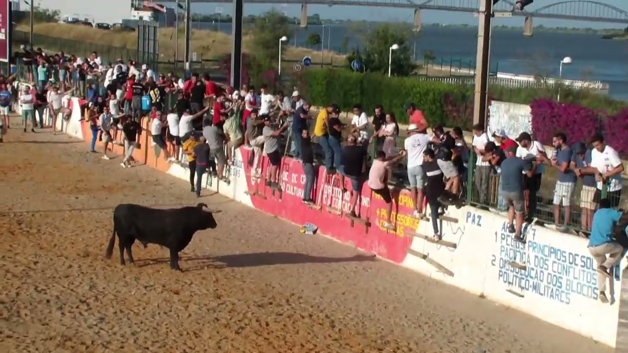 Esperas e Largadas Touros Colete Encarnado 2023